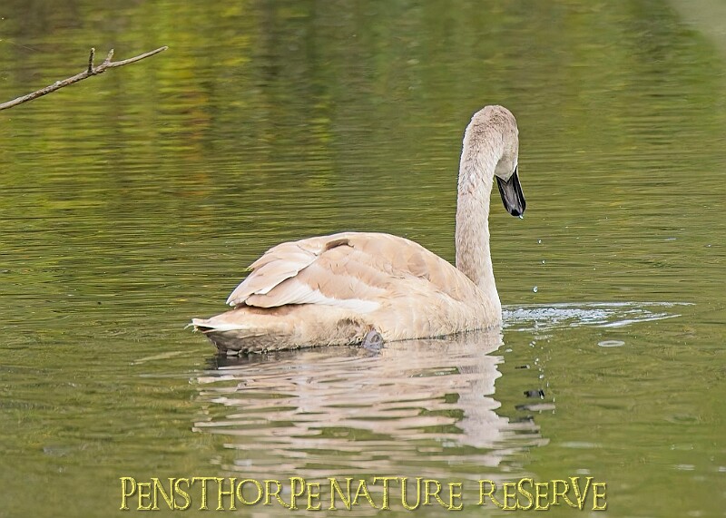 251009PENSOCT00320A.JPG