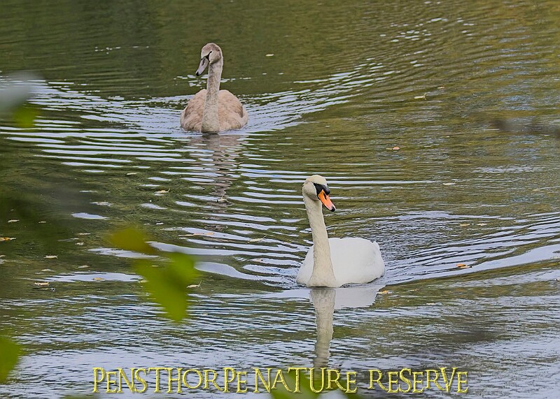 251009PENSOCT00330A.JPG