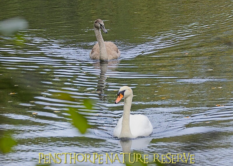 251009PENSOCT00333A.JPG