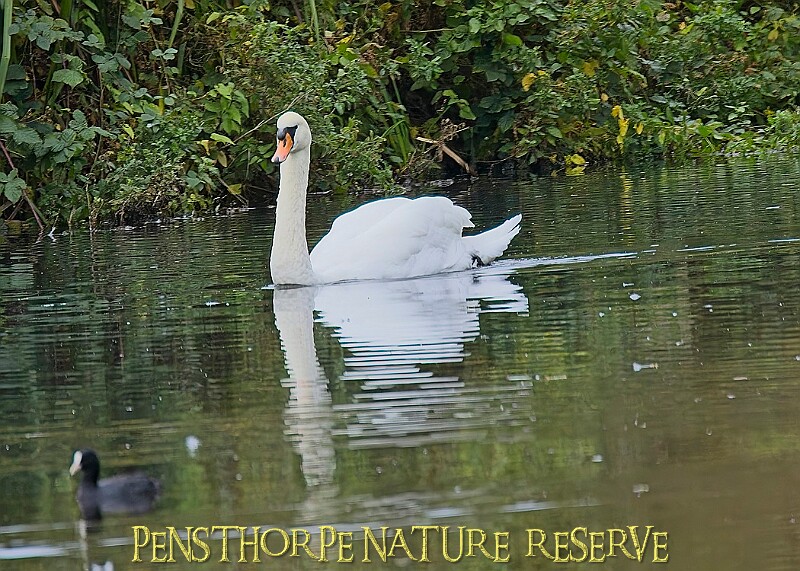 251009PENSOCT00336A.JPG