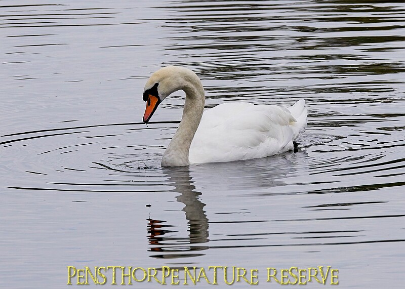 251009PENSOCT00345A.JPG