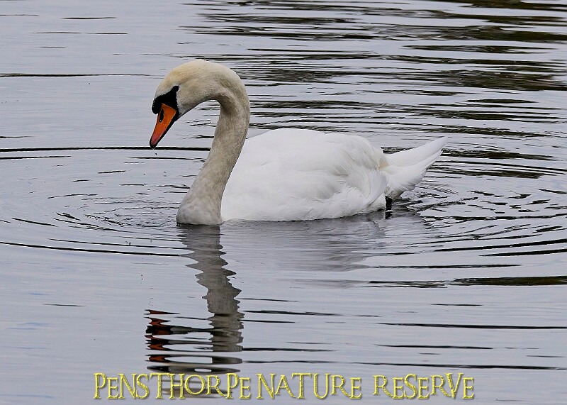 251009PENSOCT00346A.JPG