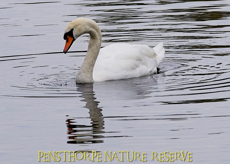 251009PENSOCT00347A.JPG