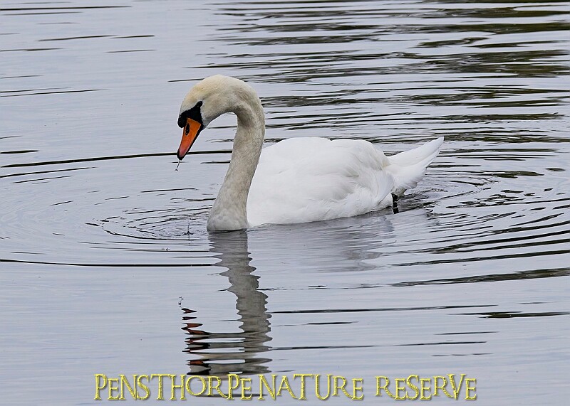 251009PENSOCT00348A.JPG