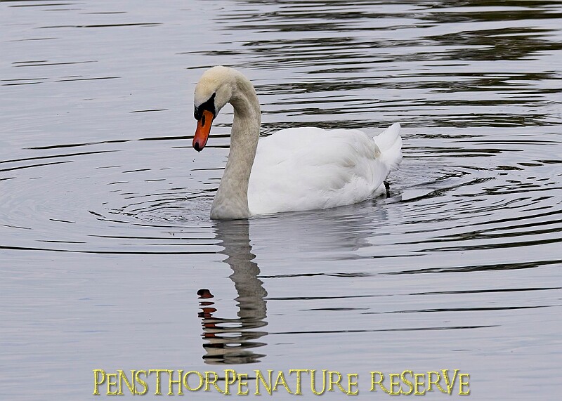 251009PENSOCT00349A.JPG