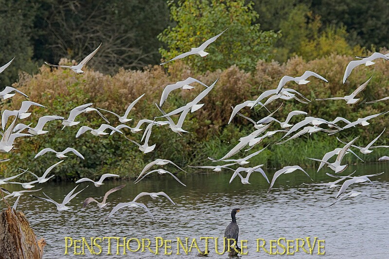 251009PENSOCT00352A.JPG