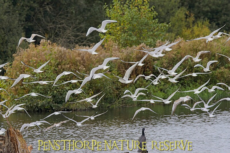 251009PENSOCT00353A.JPG