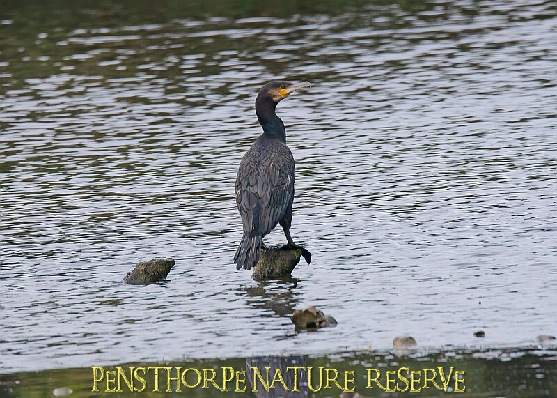 251009PENSOCT00354A.JPG