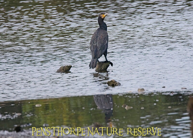 251009PENSOCT00359A.JPG
