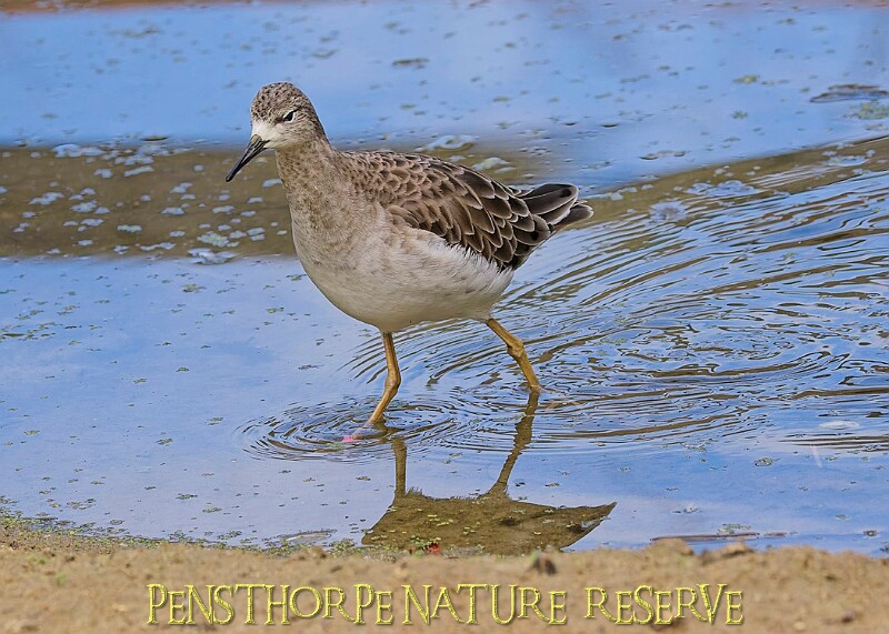 251009PENSOCT00402A.JPG