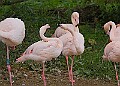251009PENSOCT00092A