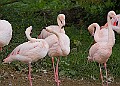 251009PENSOCT00093A