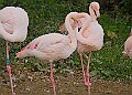 251009PENSOCT00094A