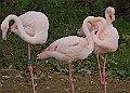 251009PENSOCT00095A