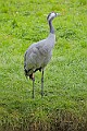 251009PENSOCT00117A