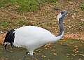 251009PENSOCT00118A