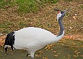 251009PENSOCT00120A