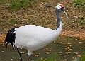251009PENSOCT00121A