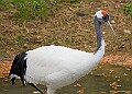 251009PENSOCT00122A