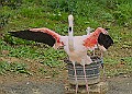 251009PENSOCT00136A