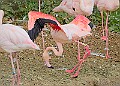 251009PENSOCT00144A
