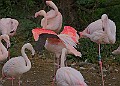 251009PENSOCT00149A