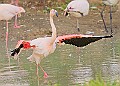 251009PENSOCT00153A