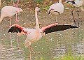 251009PENSOCT00162A