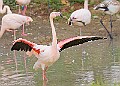 251009PENSOCT00166A