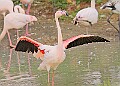 251009PENSOCT00168A