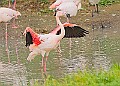 251009PENSOCT00178A
