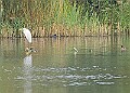 251009PENSOCT00190A