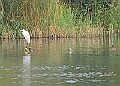251009PENSOCT00193A