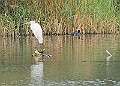 251009PENSOCT00194A