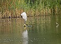 251009PENSOCT00195A