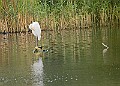 251009PENSOCT00196A