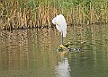 251009PENSOCT00197A