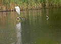 251009PENSOCT00199A