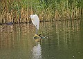 251009PENSOCT00200A