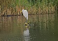 251009PENSOCT00202A