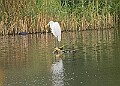 251009PENSOCT00203A