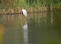 251009PENSOCT00204A