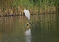 251009PENSOCT00205A