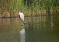 251009PENSOCT00206A
