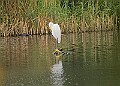 251009PENSOCT00207A