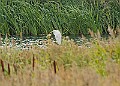 251009PENSOCT00216A