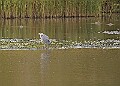 251009PENSOCT00224A