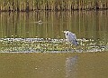 251009PENSOCT00226A