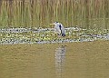 251009PENSOCT00242A