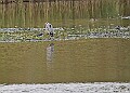 251009PENSOCT00244A